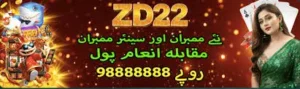 ZD22
