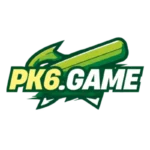 pk6 game