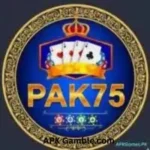 pak75 game