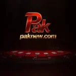 paknewgame